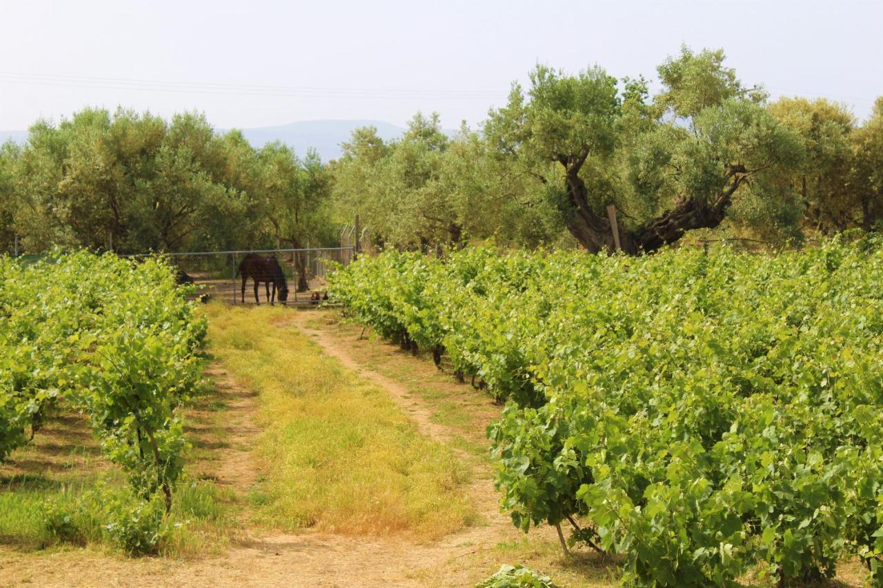 Villa Stamna Farm Romanos  Exterior foto