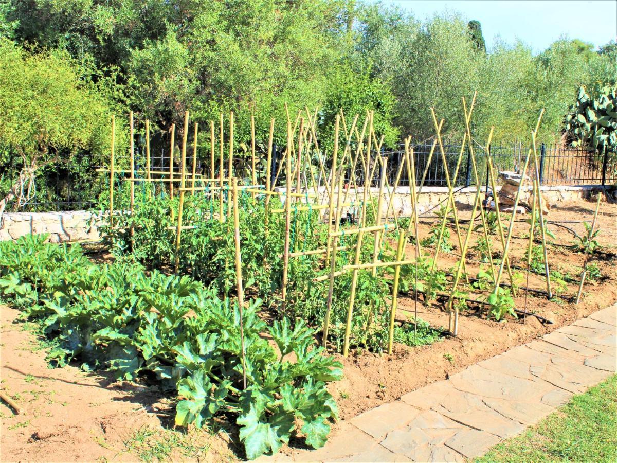 Villa Stamna Farm Romanos  Exterior foto